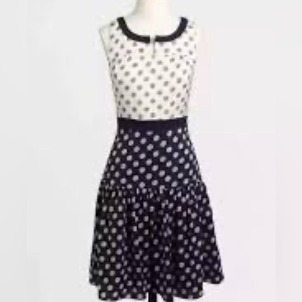 J. Crew Blue and White Sleeveless Sundress